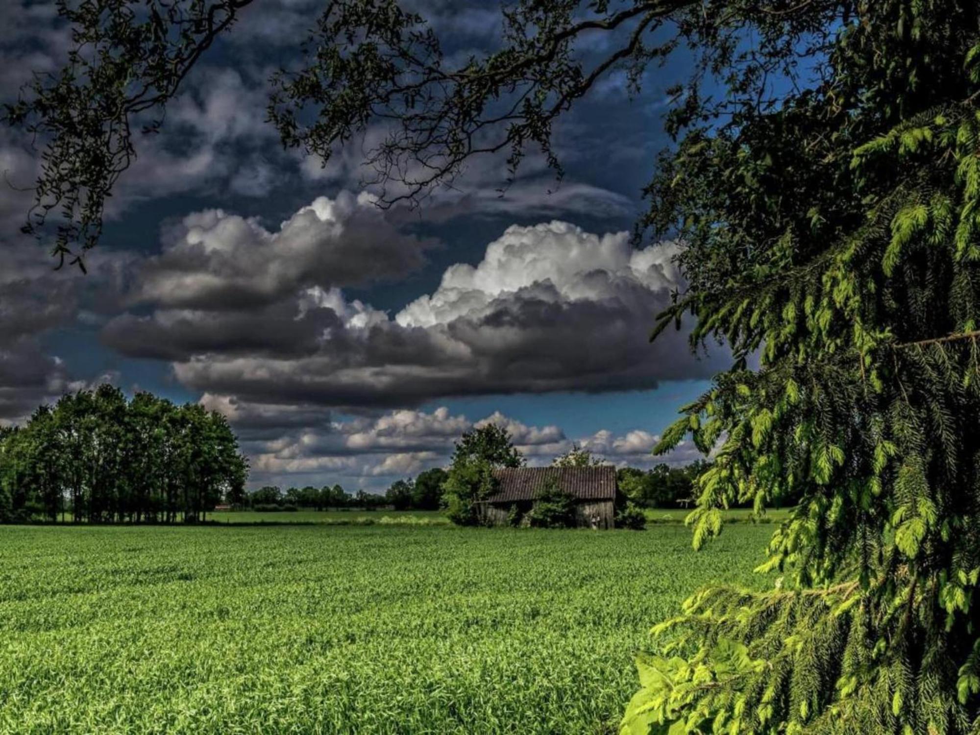 Staying In A Thatched Barn With Box Bed Beautiful View Region Achterhoek Geesteren  Bagian luar foto